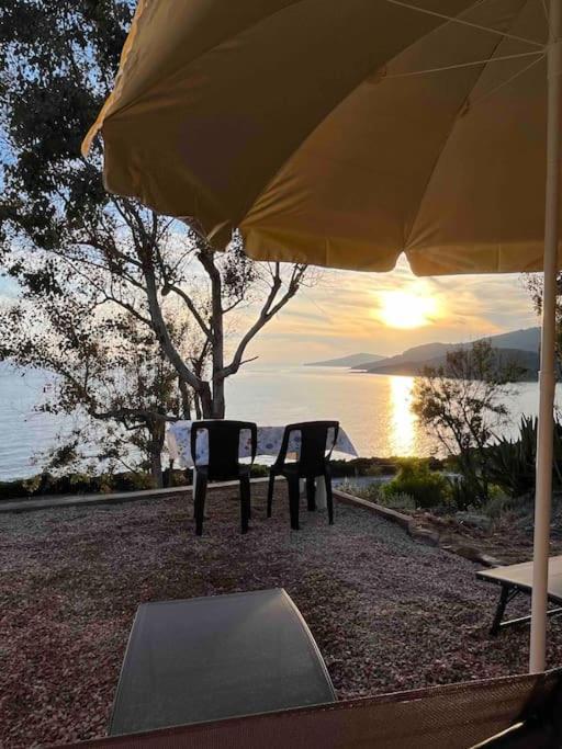 Appartement 2 Personnes Bord De Mer Sagone (Corsica) Exterior foto